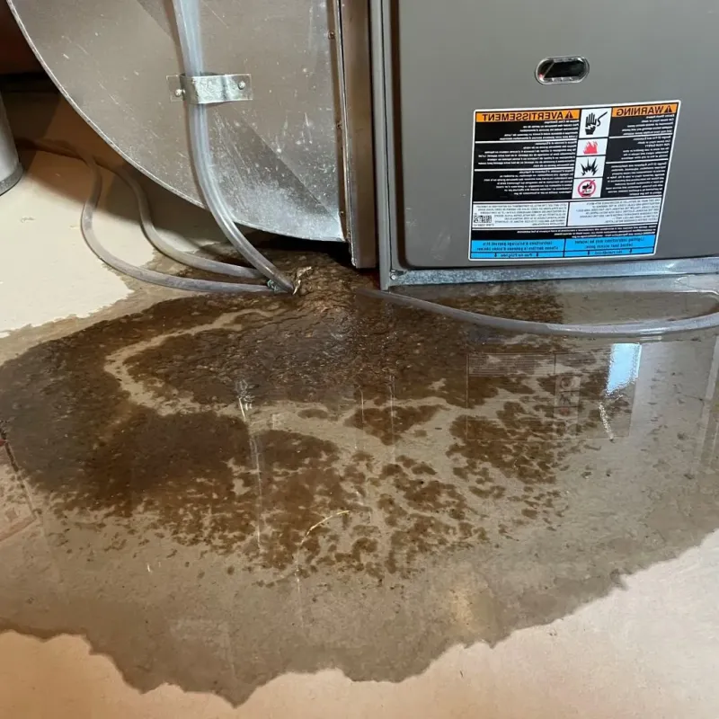 Pipe Burst and Leak Restoration in Swarthmore, PA
